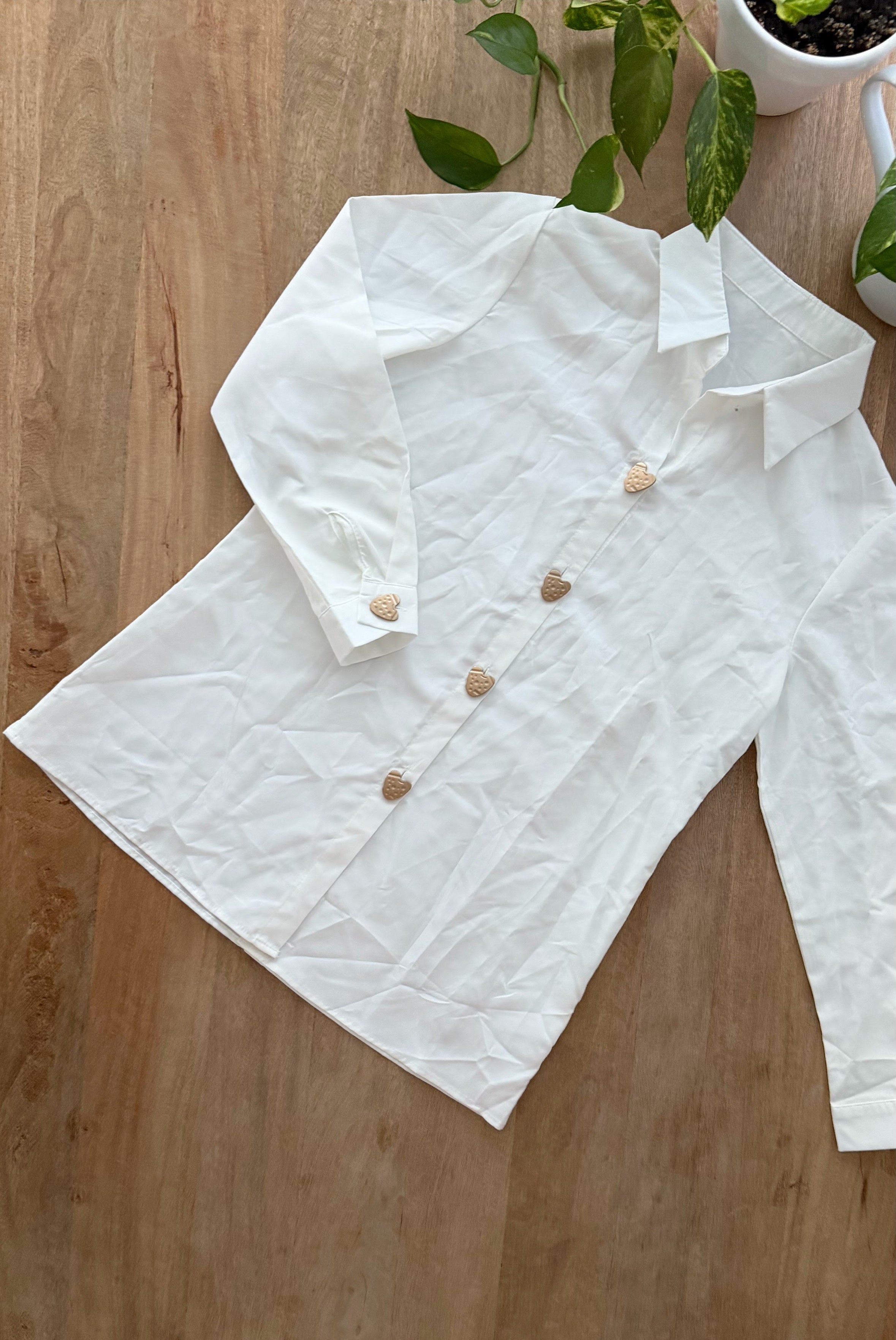 Camisa