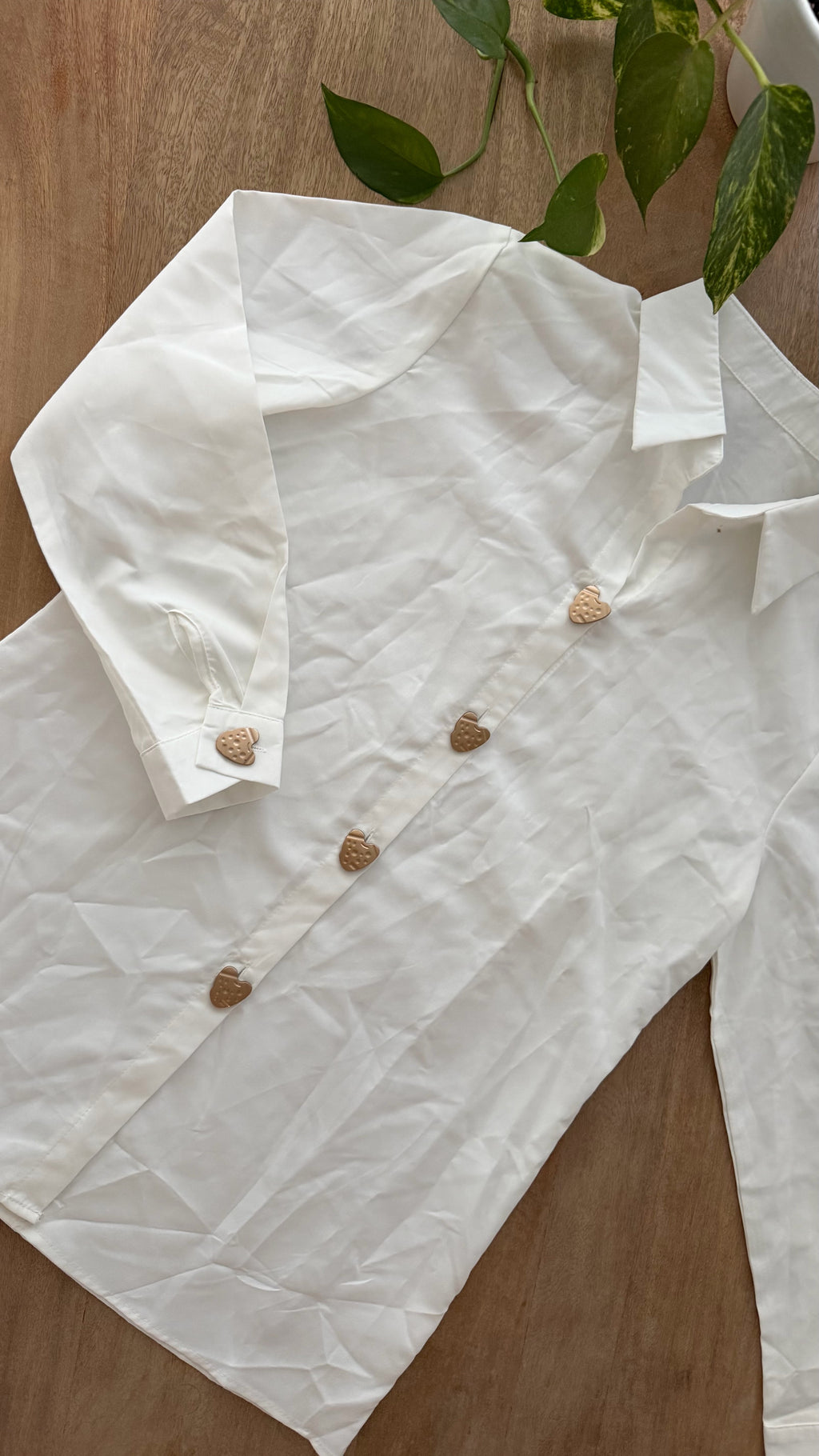 Camisa