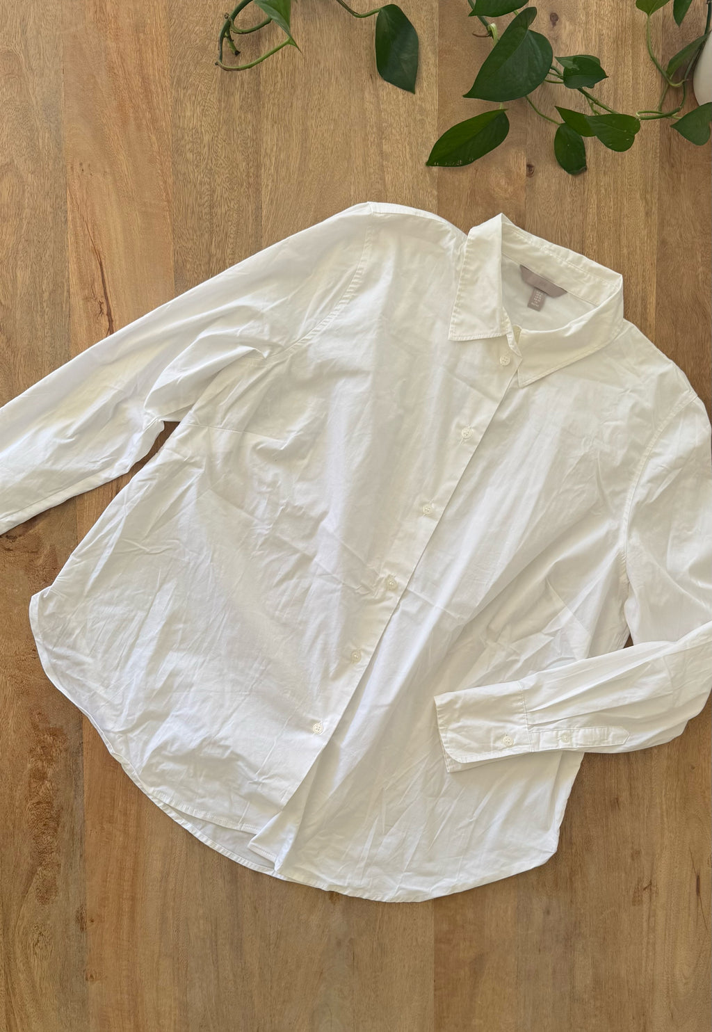 Camisa