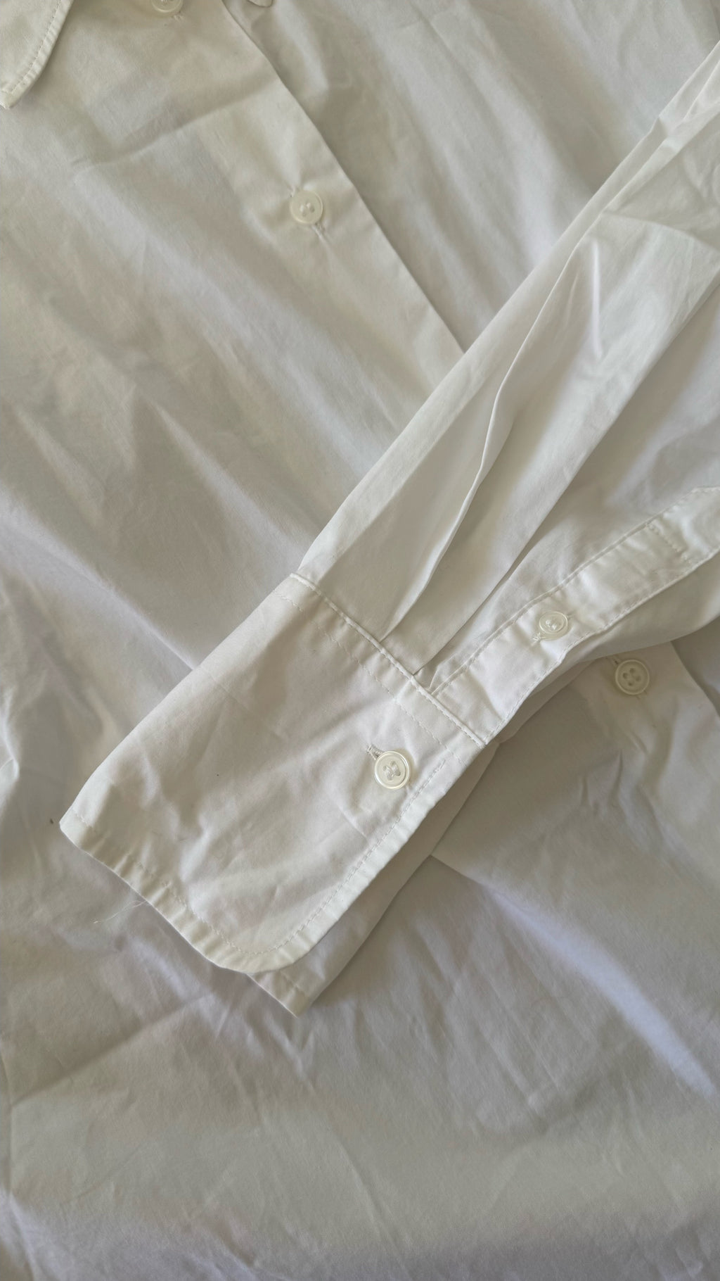 Camisa