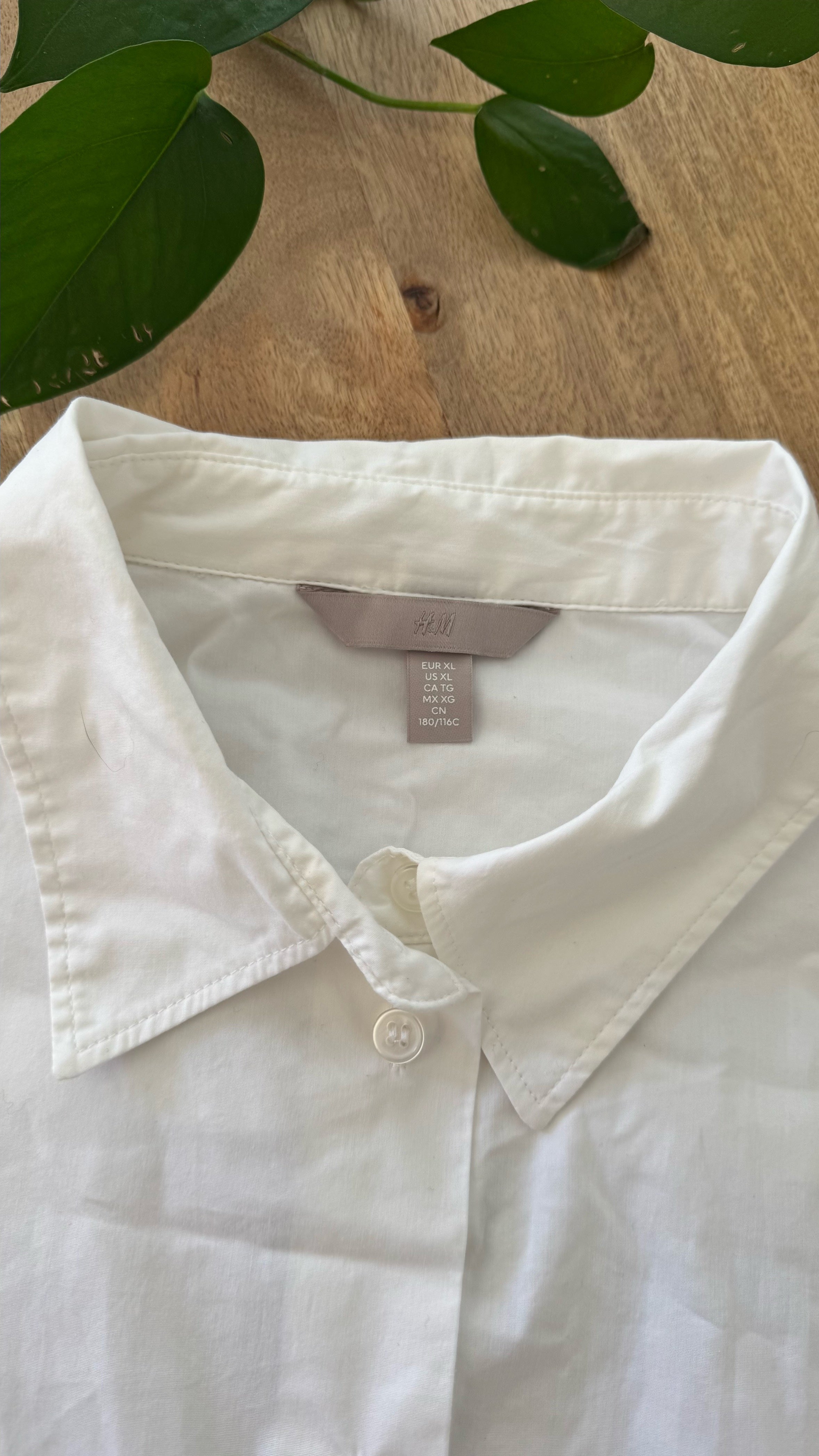 Camisa